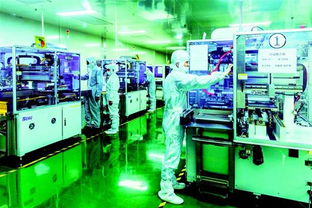 綠色引領 共繪長江新畫卷