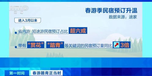 春暖花開時，三大潮流打卡新選擇 花海、民宿與山地戶外運動